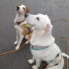 Bianca und Blaze, Mama und Sohn