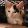 So ein tolles kleines TRIO!!!