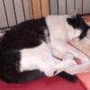 Maxi und Charly sind dicke Freunde geworden.
