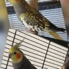Lilly und Charly
